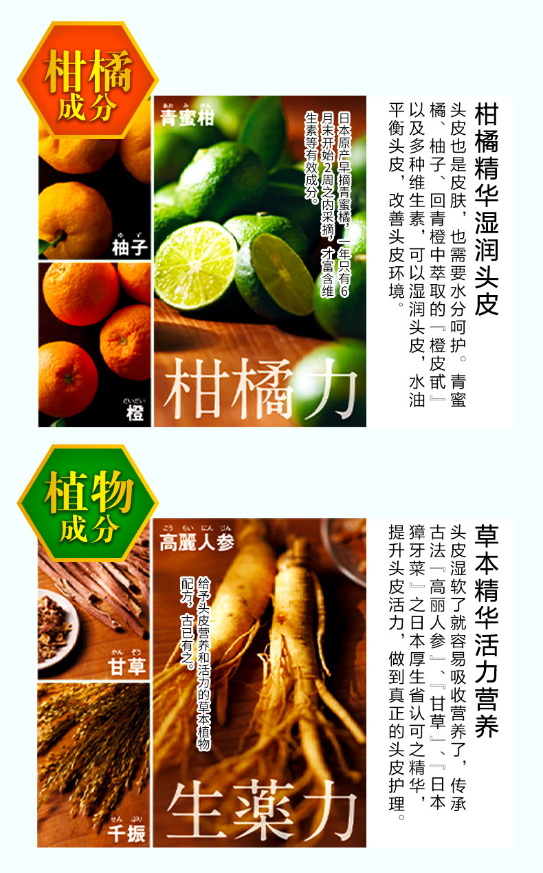 详情页：柑橘洗发水3款通用202108_05.jpg
