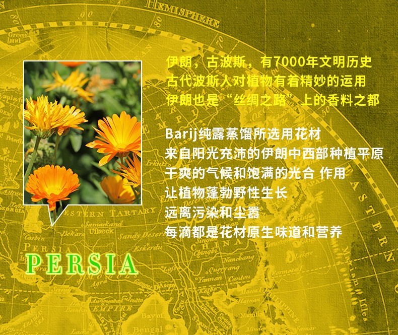 金盏花500_04.jpg