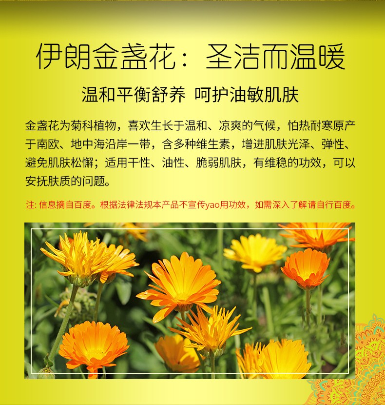 金盏花500_05.jpg