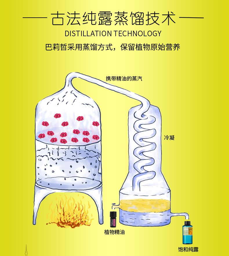 金盏花500_10.jpg