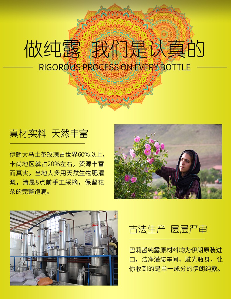 金盏花500_09.jpg