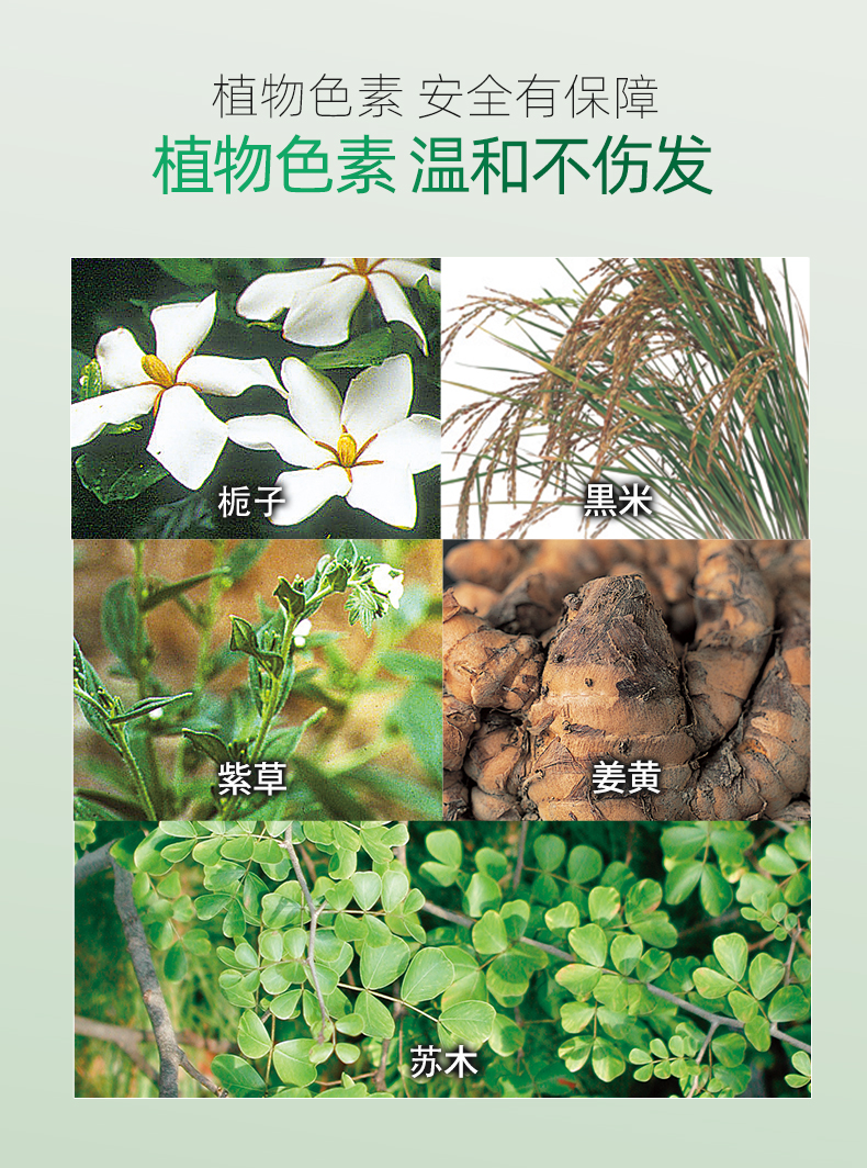 彩翡白发遮盖棒35g_04.jpg