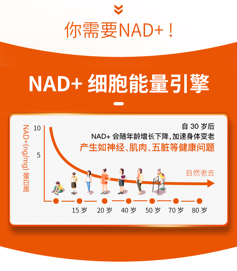 0A4CBD506BBAB37F2A149DA460F63C4E.jpg NMN18000-TM_04.jpg