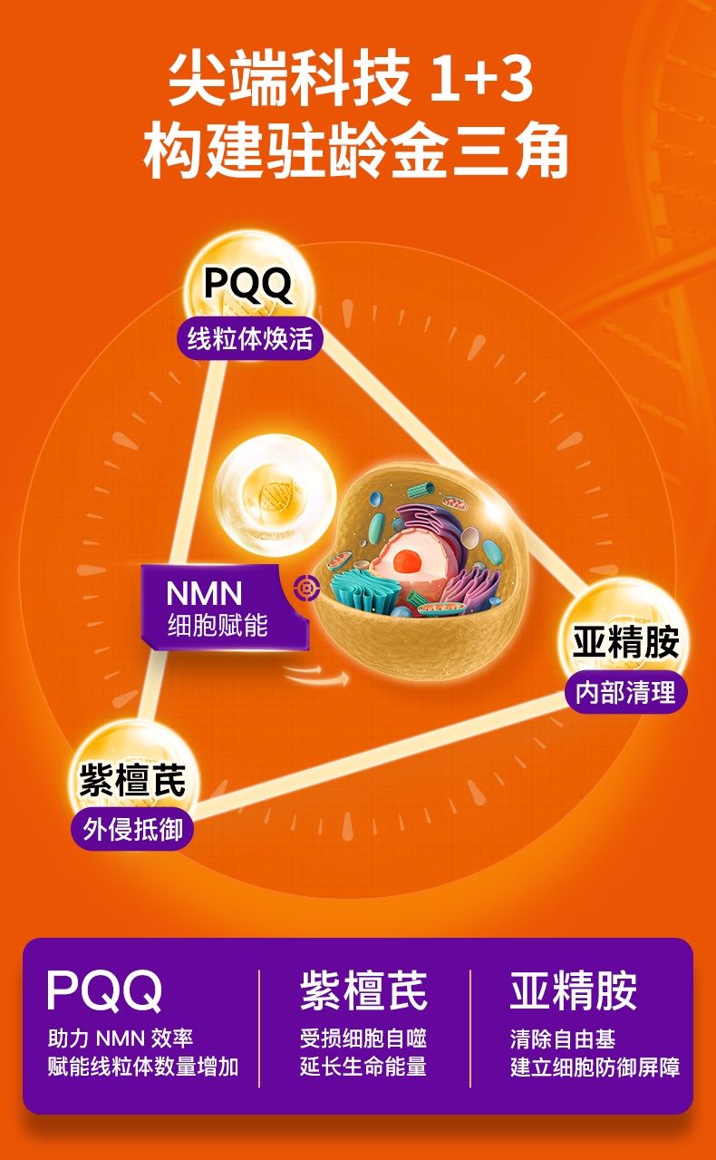 CE22889F5DB593EBD146D4C65E213415.jpg NMN18000-TM_06.jpg