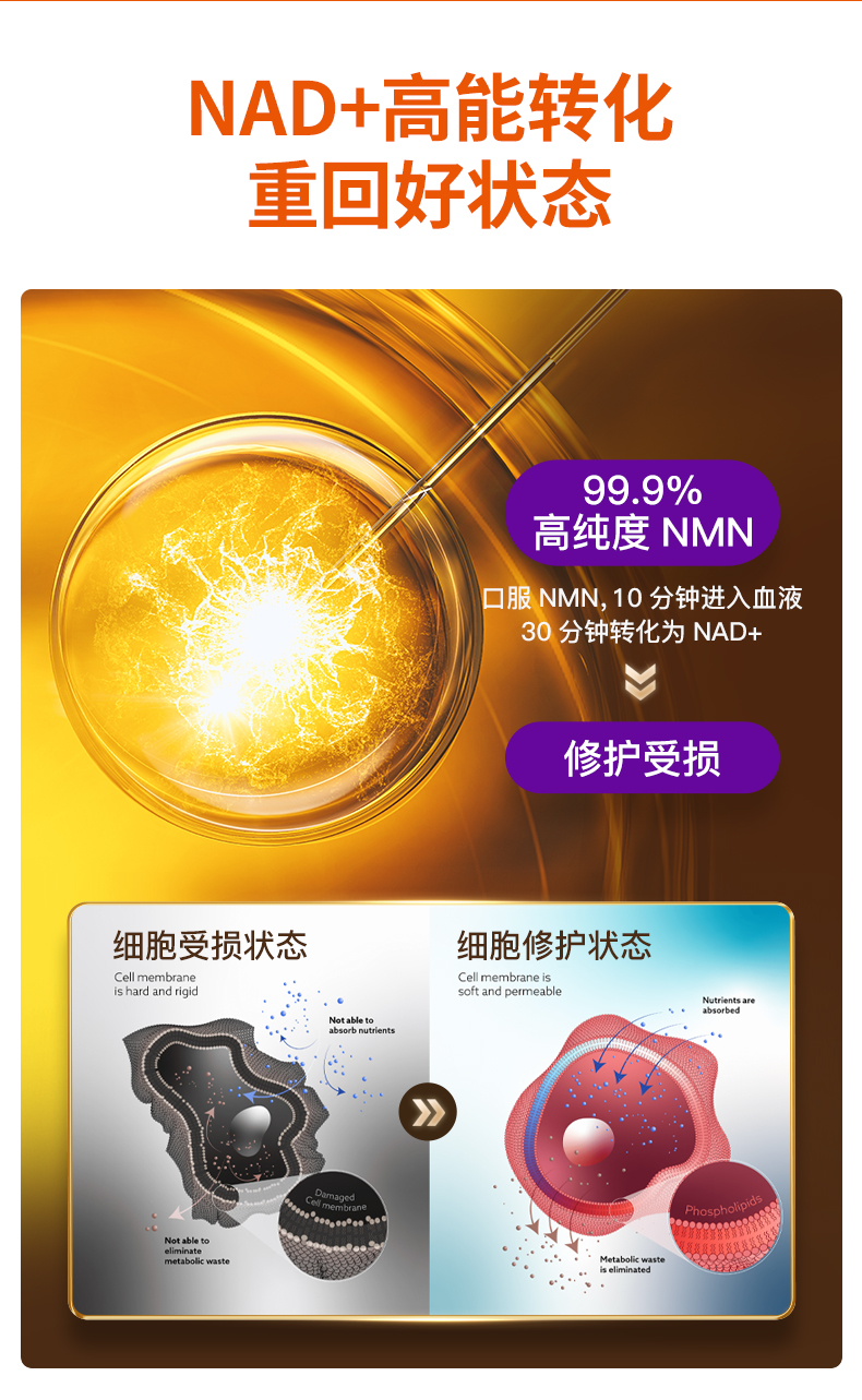 FFAE83AE6763F6BD598C77CD6523607E.jpg NMN18000-TM_07.jpg