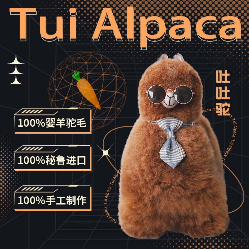 英迪羊驼.jpg
