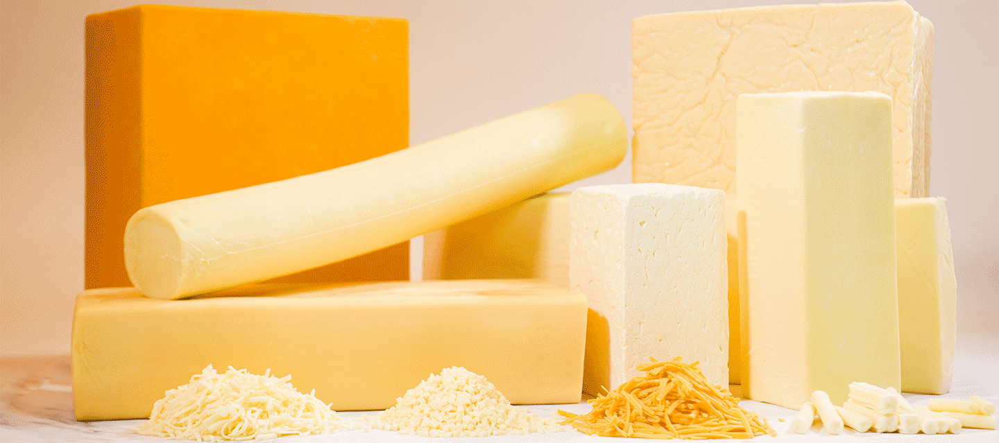 21-0825-Agropur-Cheese-Main-Image-1440x640-%281%29.png