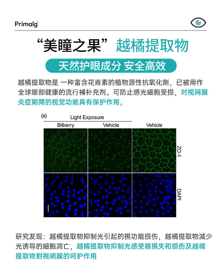 护眼鱼油_11.jpg