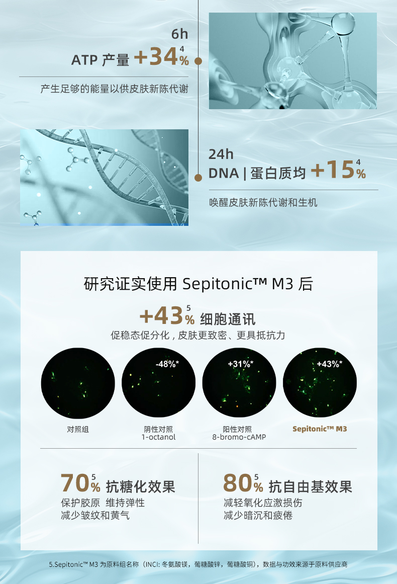 Splendor-serum海洋弹力紧致精华详情240703_06.jpg
