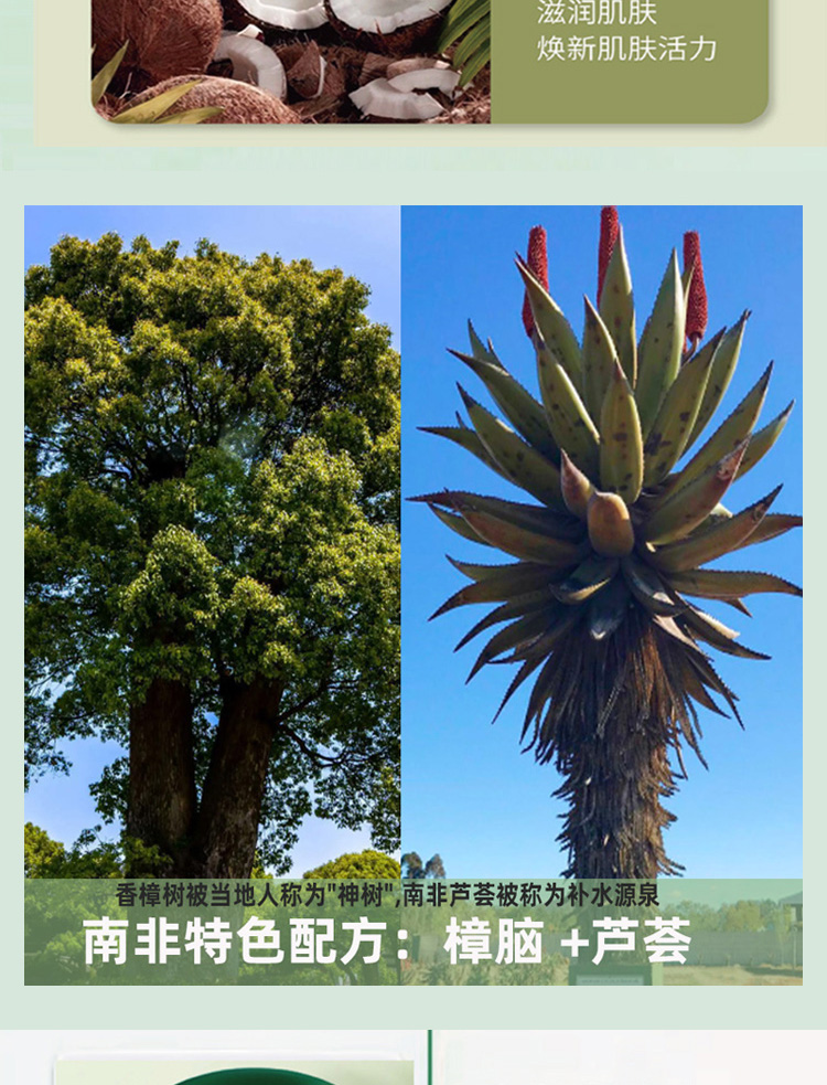 详图20240702_09.jpg