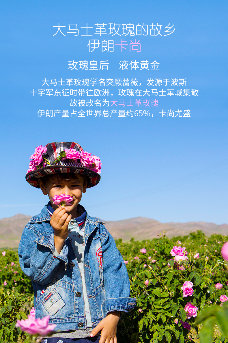 玫瑰1ml_02.jpg