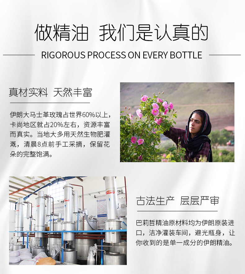玫瑰1ml_08.jpg