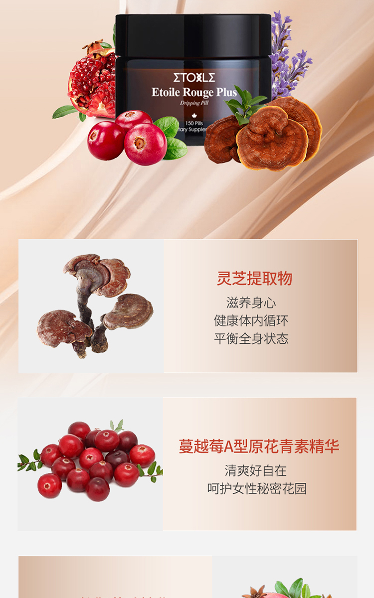 小红盾灵芝晶丸详情页_06.jpg