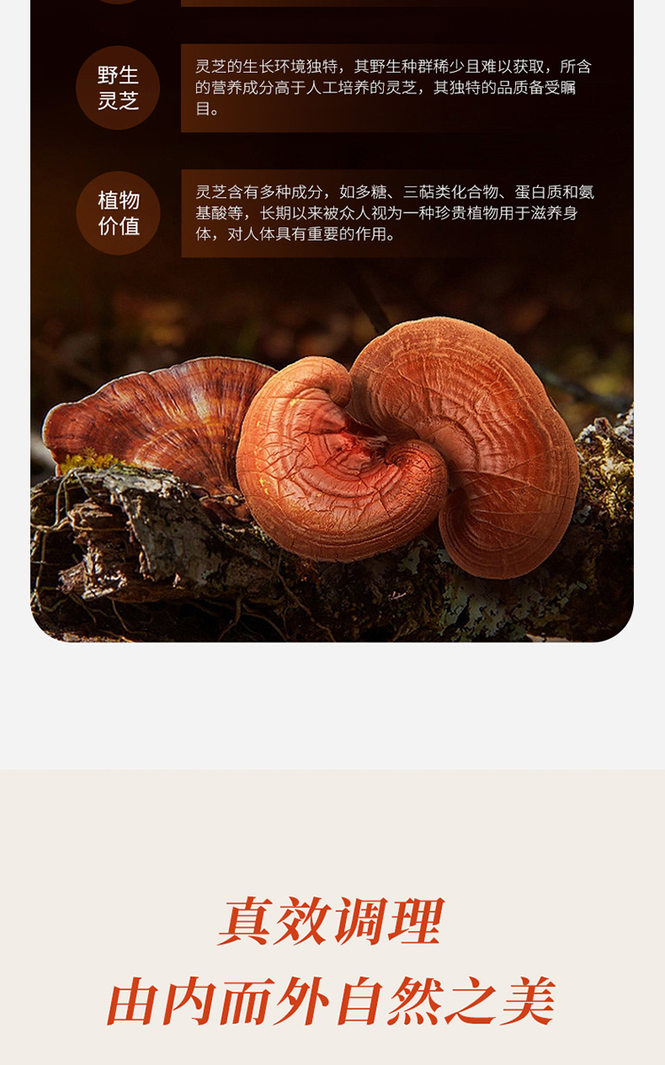 小红盾灵芝晶丸详情页_08.jpg