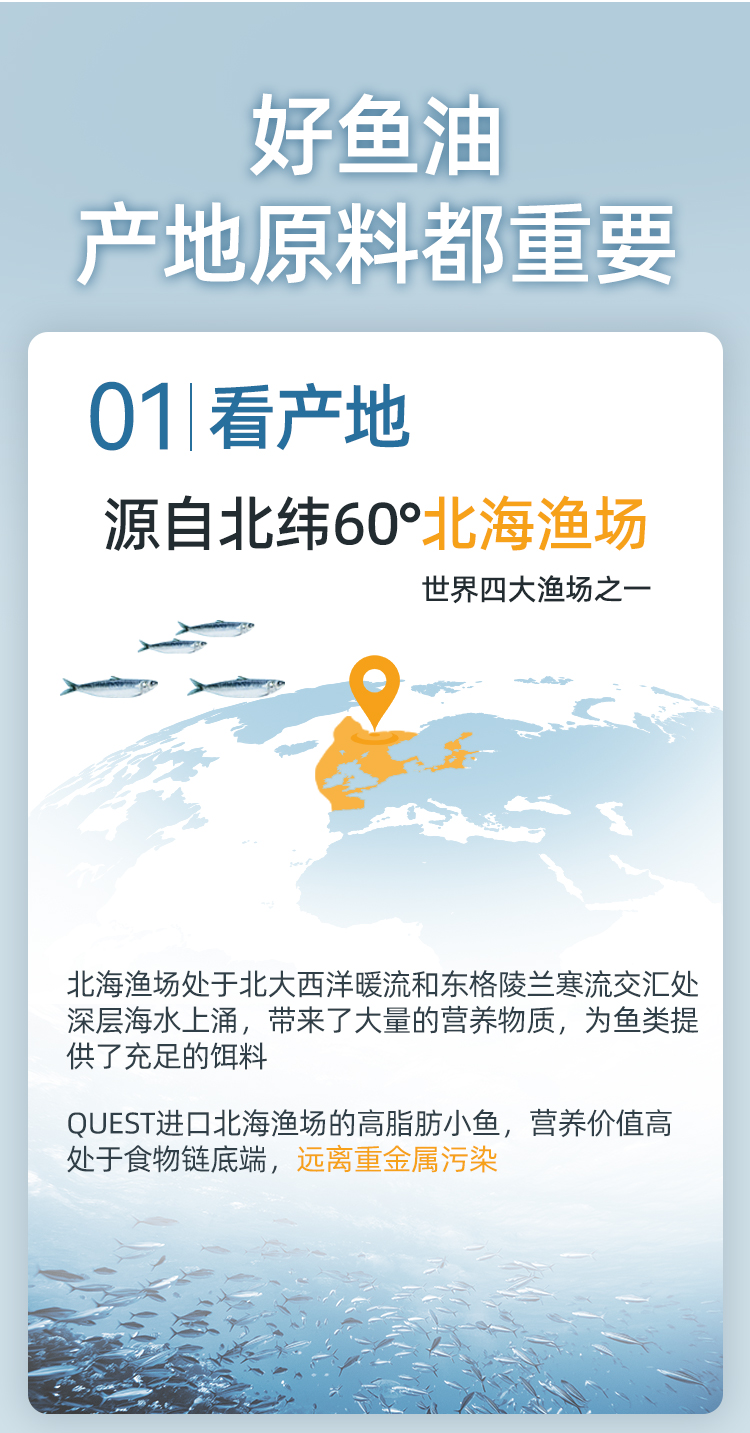 详情_04.jpg