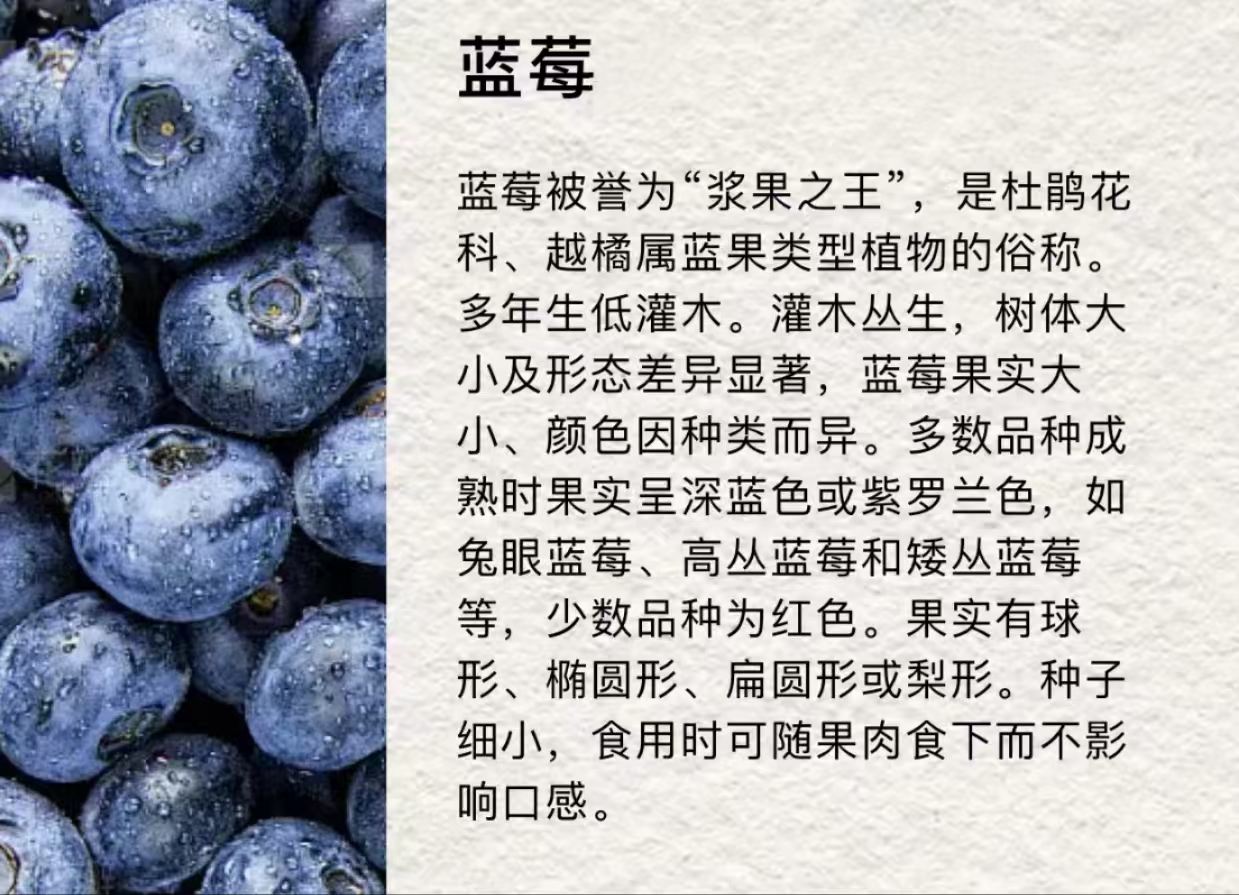 e72fe922ed8011a8744605bbf62487b.jpg