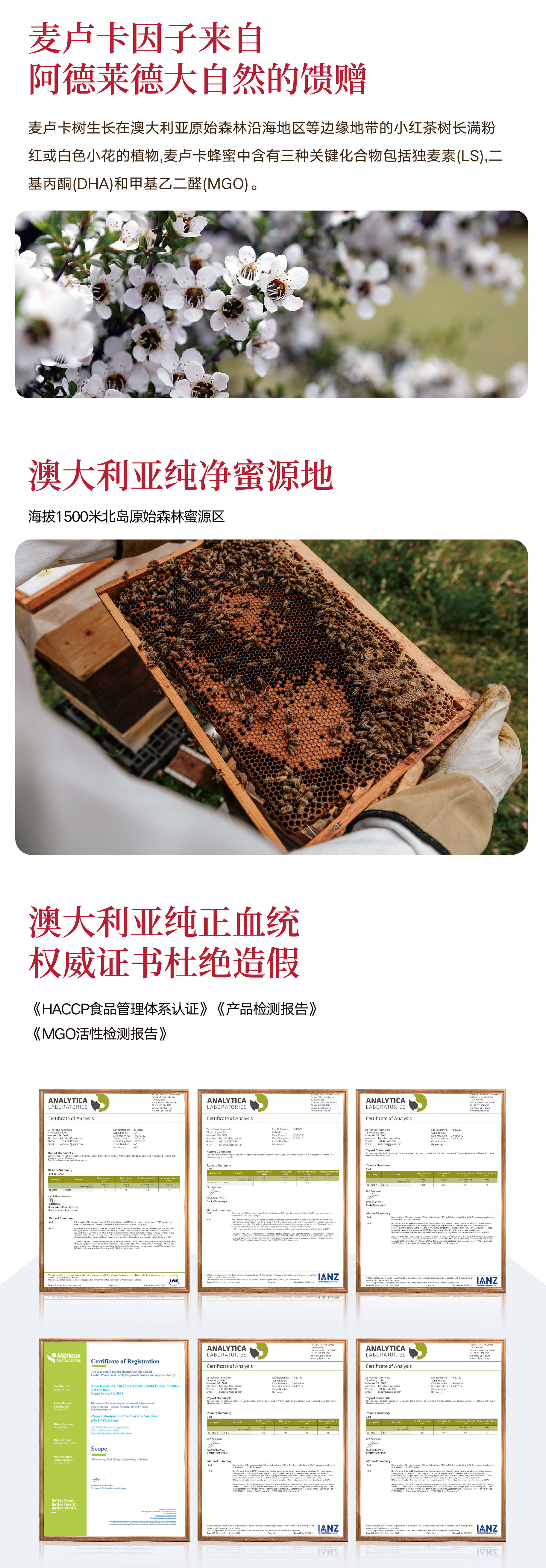 未标题-1 [已恢复]-44.jpg