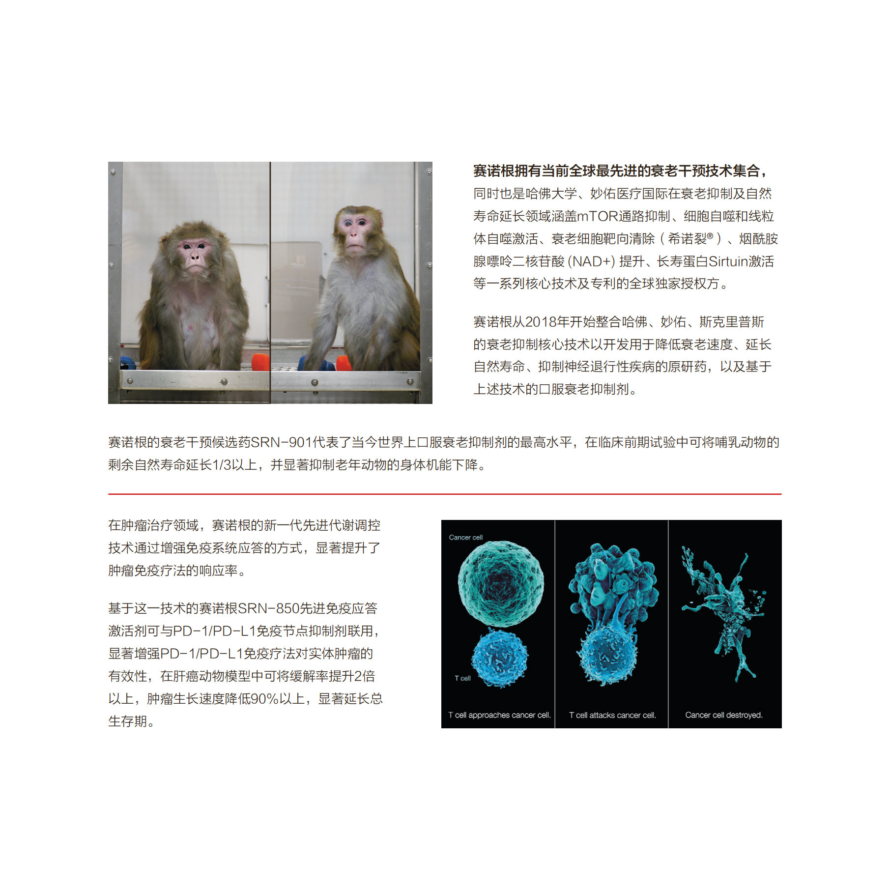赛诺根瑞拓龄简介_Digital_v24.1.4_03.png