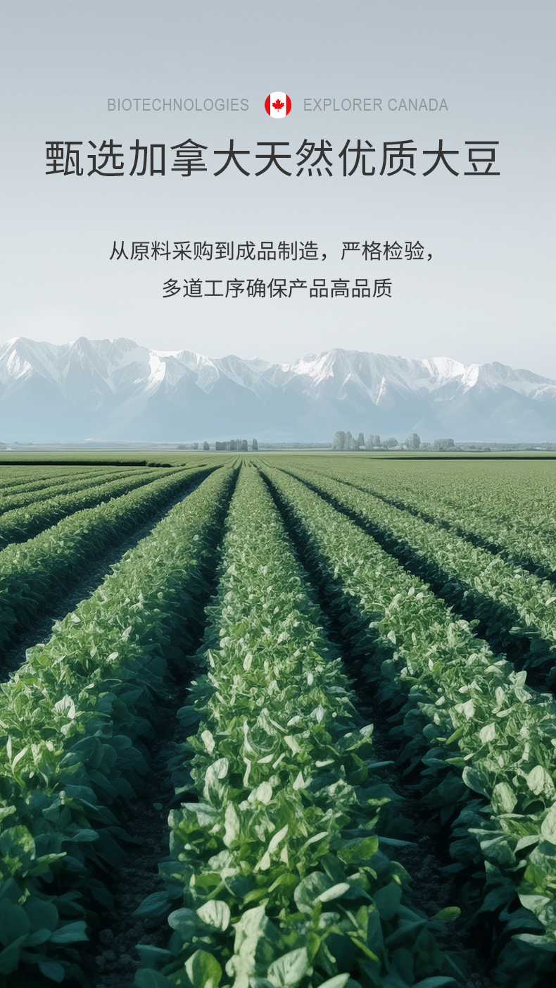 详情页-大豆_06.jpg