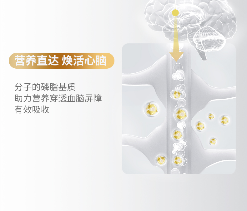 详情页---内容修改确认版_19.jpg