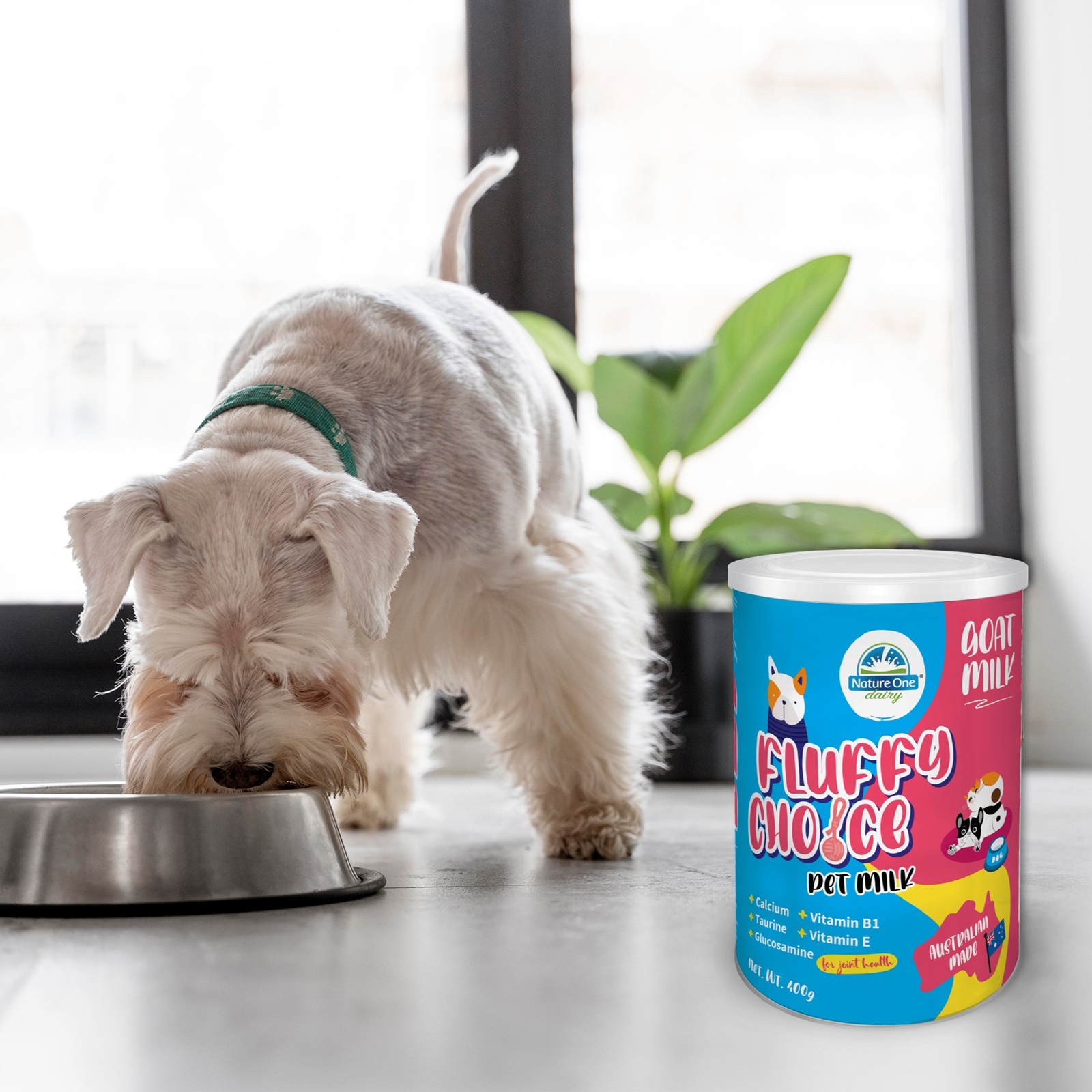 cute-dog-eating-home.jpg