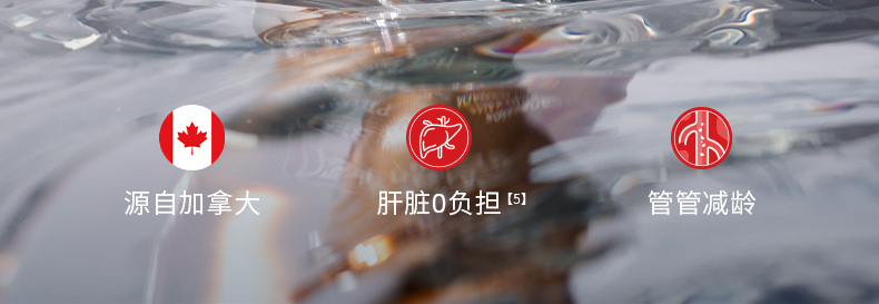 详情页---内容修改确认版_03.jpg