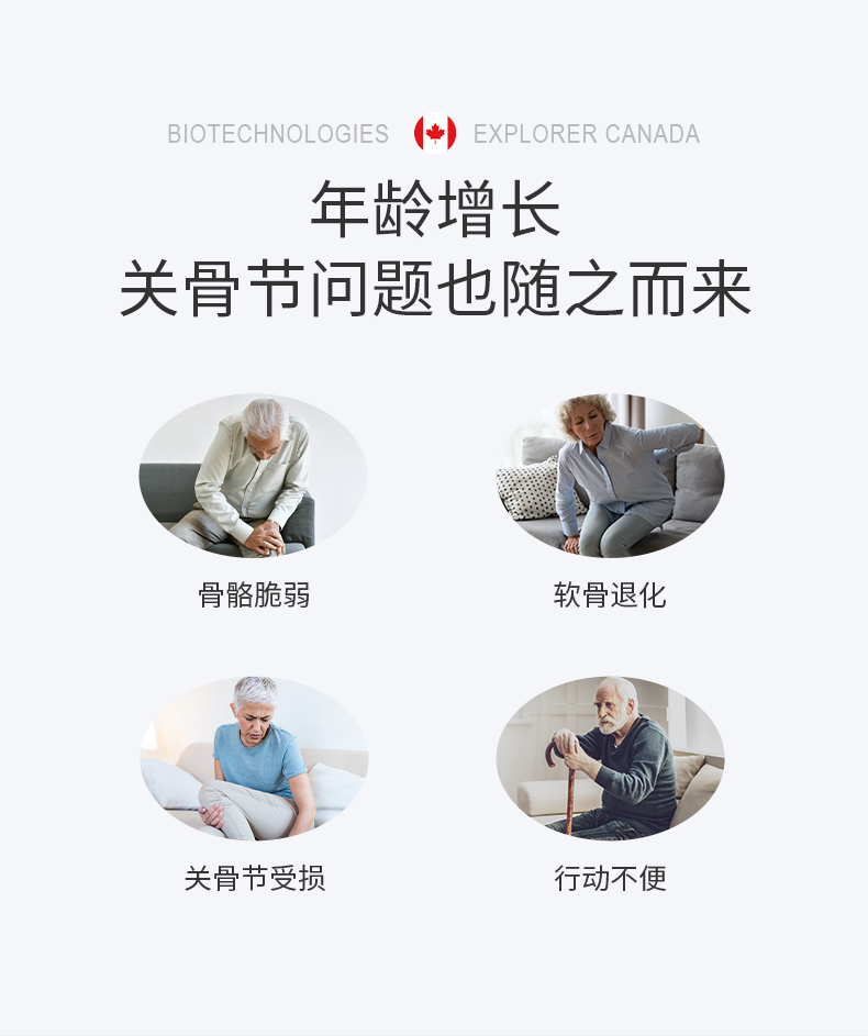 胶原壮骨维终极版_03.jpg