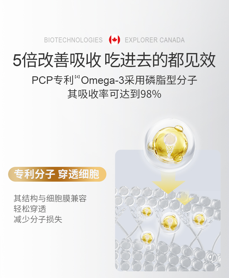 详情页---内容修改确认版_17.jpg