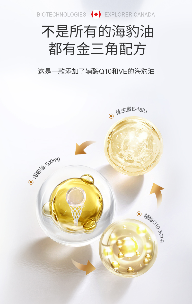 强心海豹胶囊终极版_05.jpg