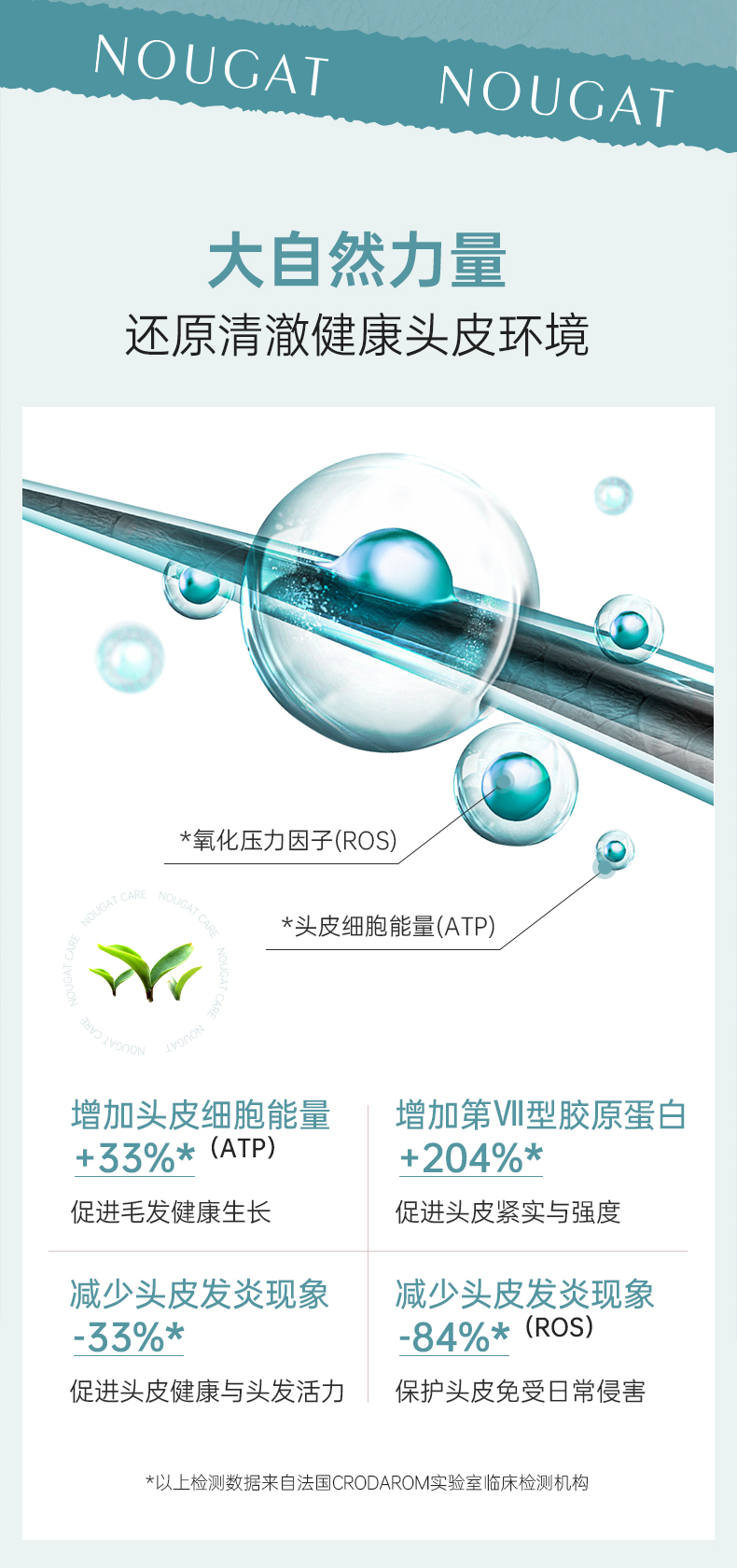发立体蓬松洗发水_09.jpg