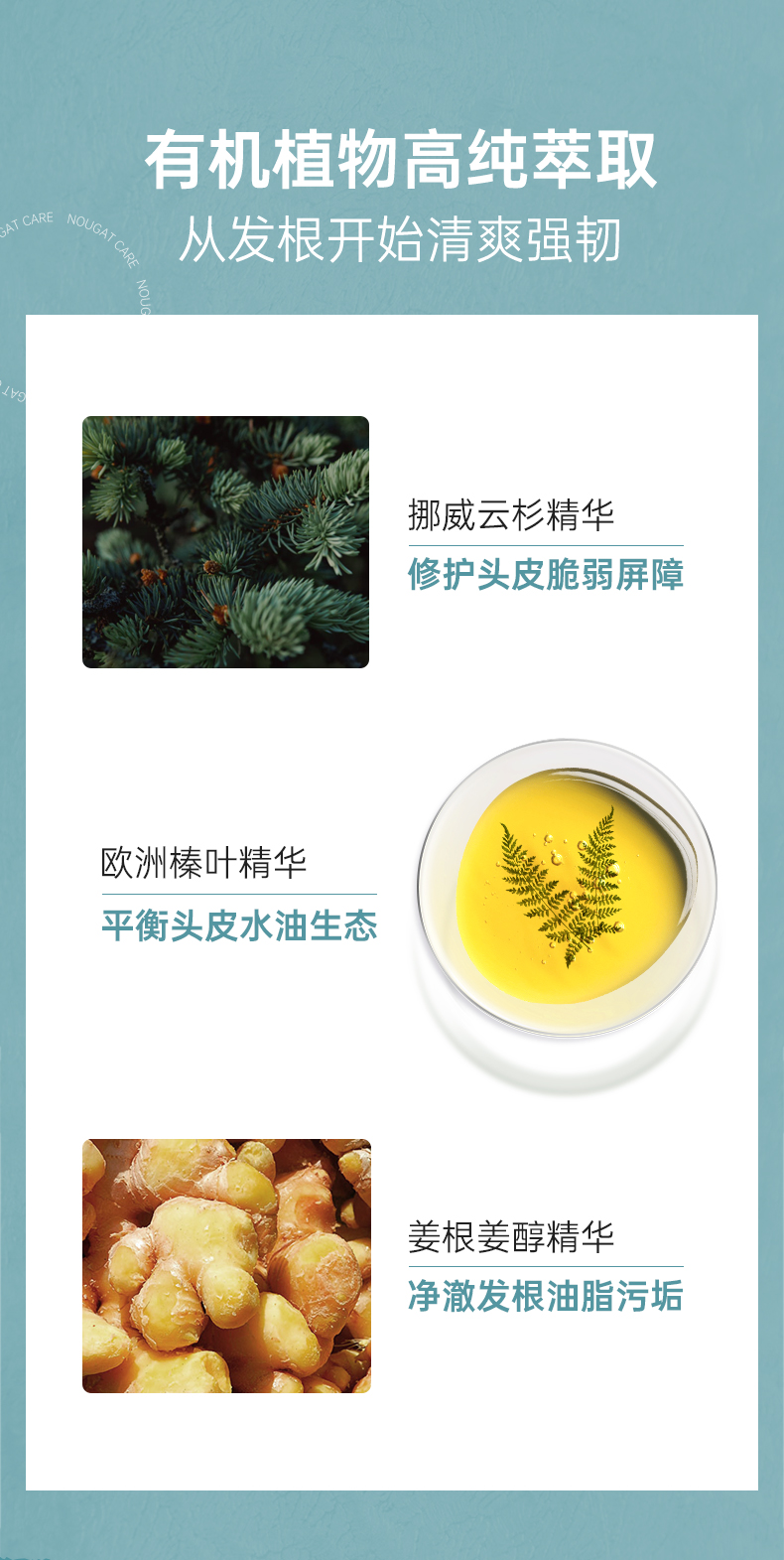 发立体蓬松洗发水_08.jpg