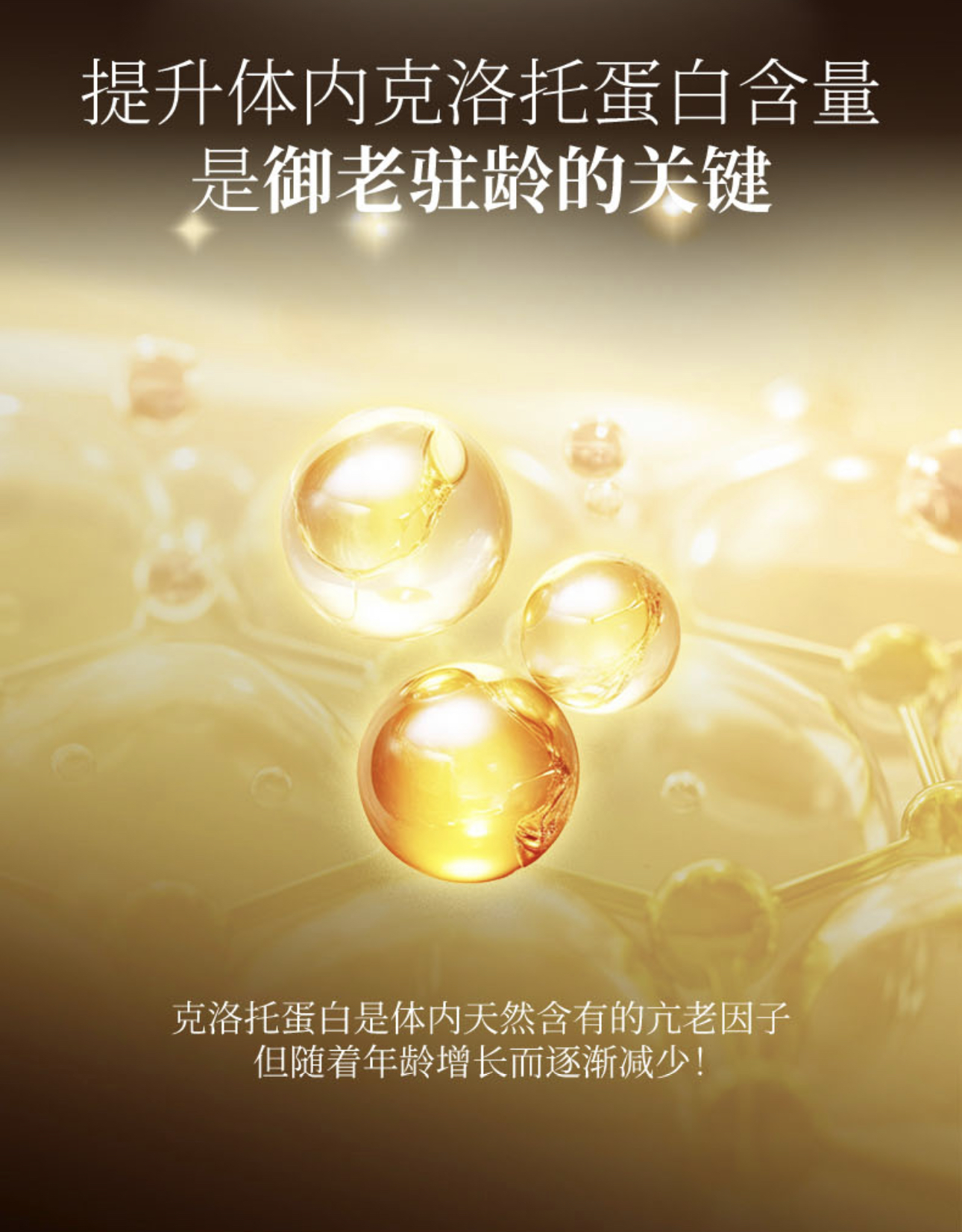 微信图片_20240923112646.jpg
