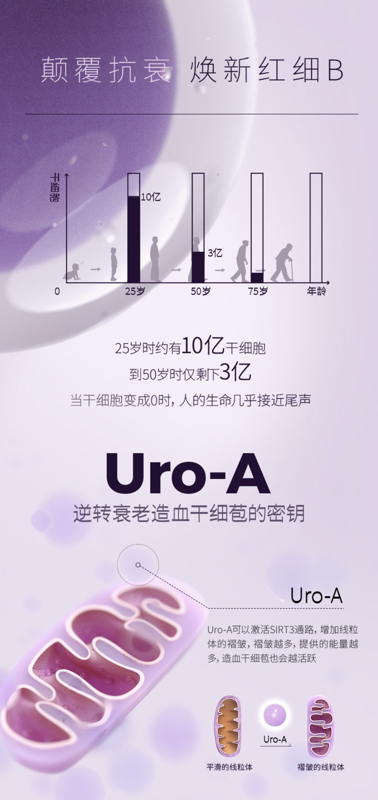 微信图片_20240923190337.jpg