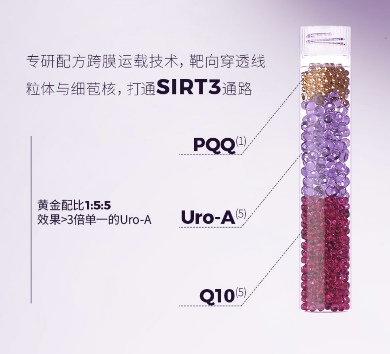 微信图片_20240923190351.jpg