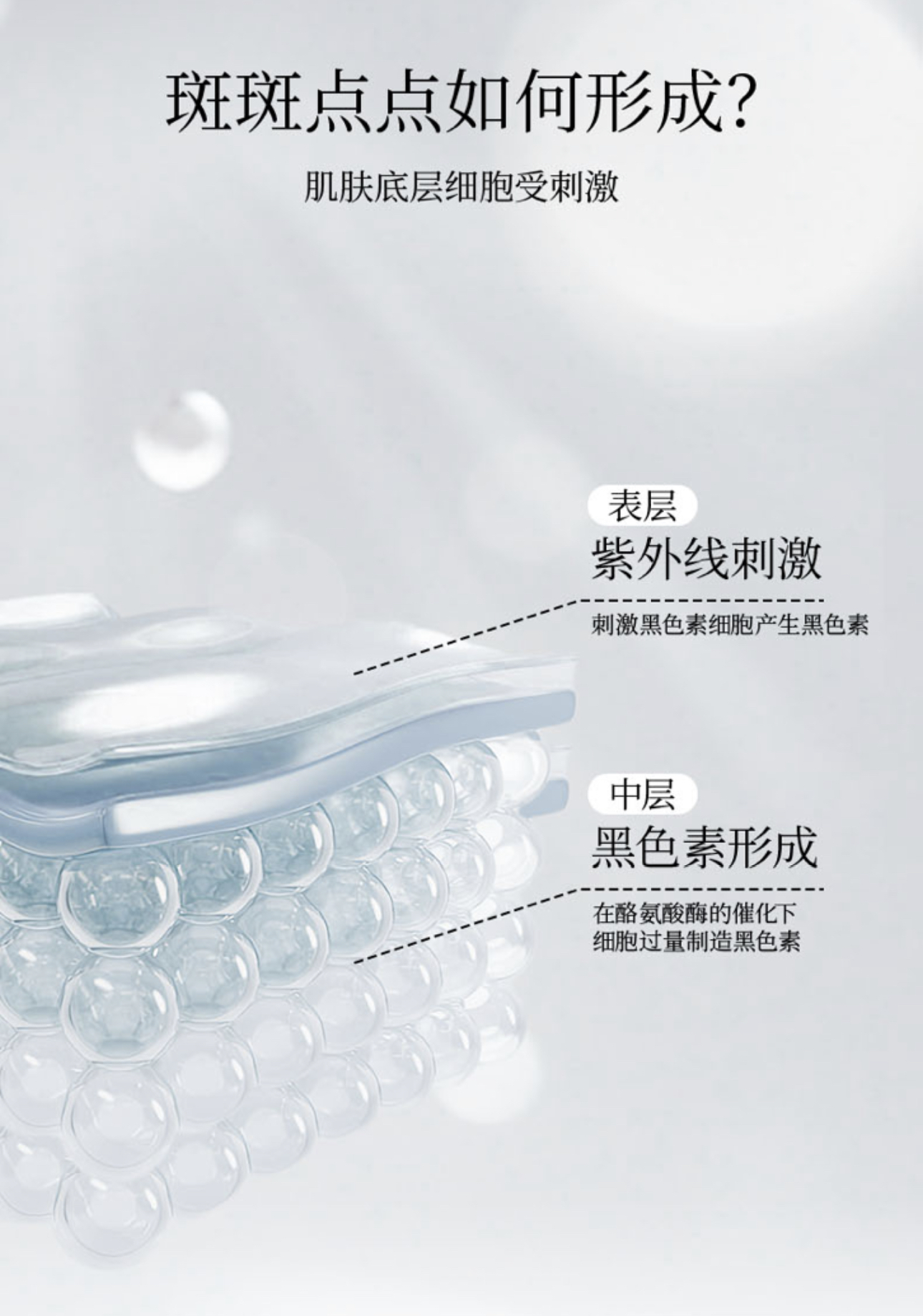 微信图片_20240923141536.jpg