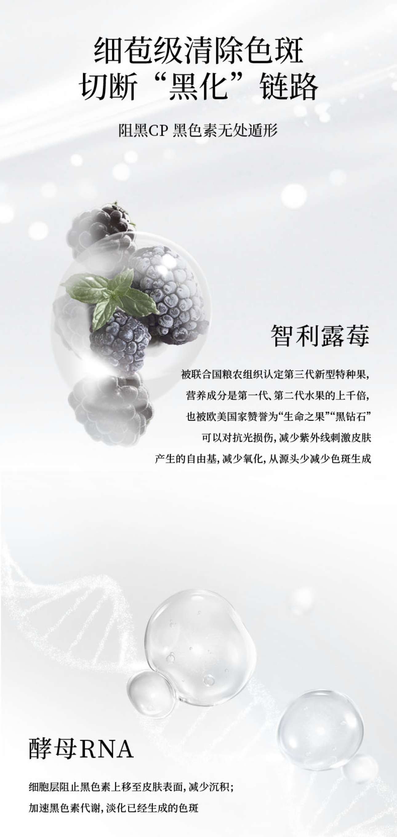 微信图片_20240923141553.jpg