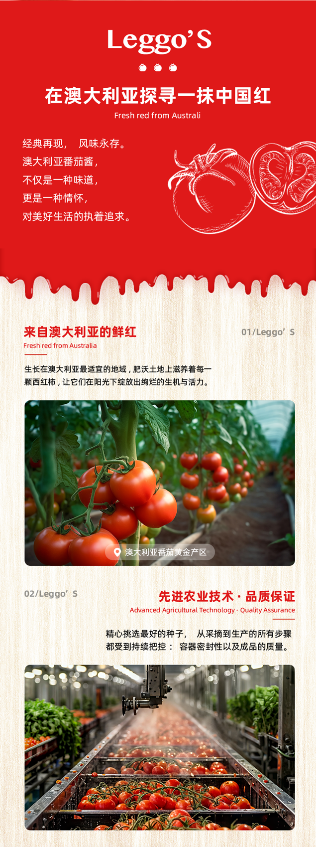 三倍浓缩_02.png
