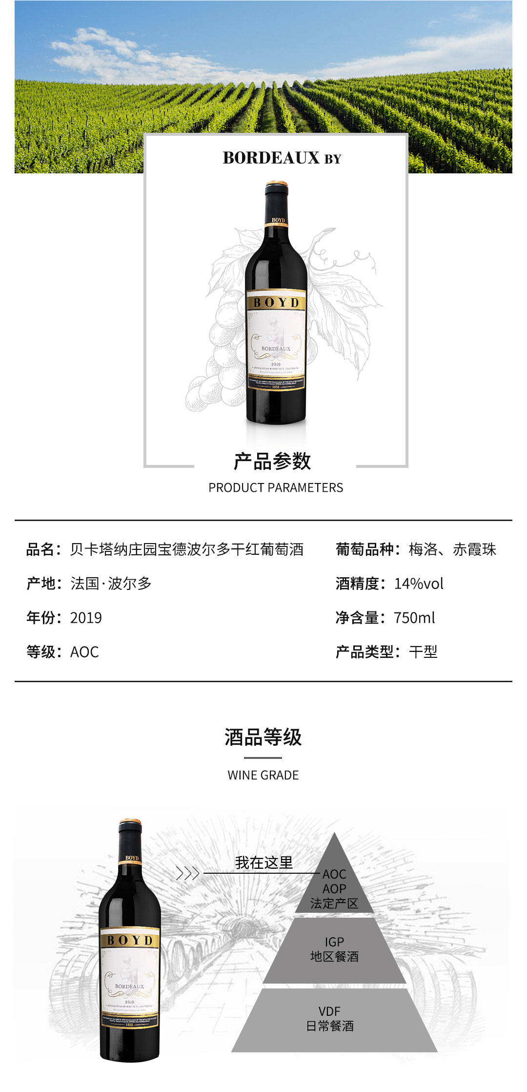 宝德_02.jpg