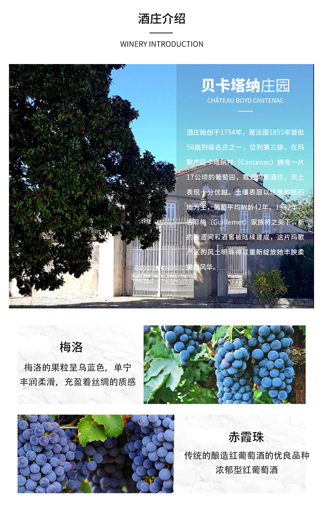 宝德_03.jpg