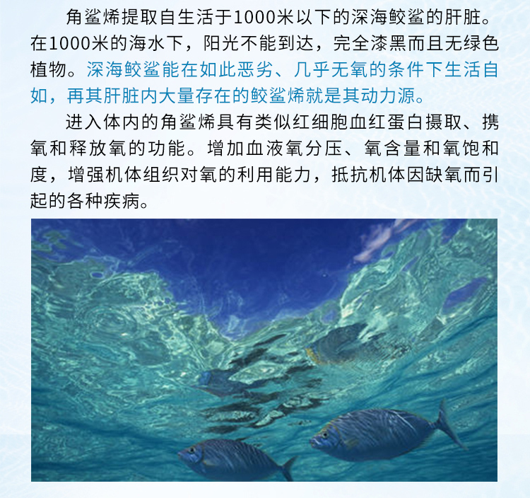 纳米角鲨烯_07.jpg