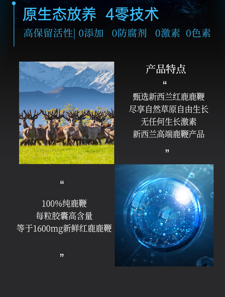 欧兰多-鹿鞭_07.jpg