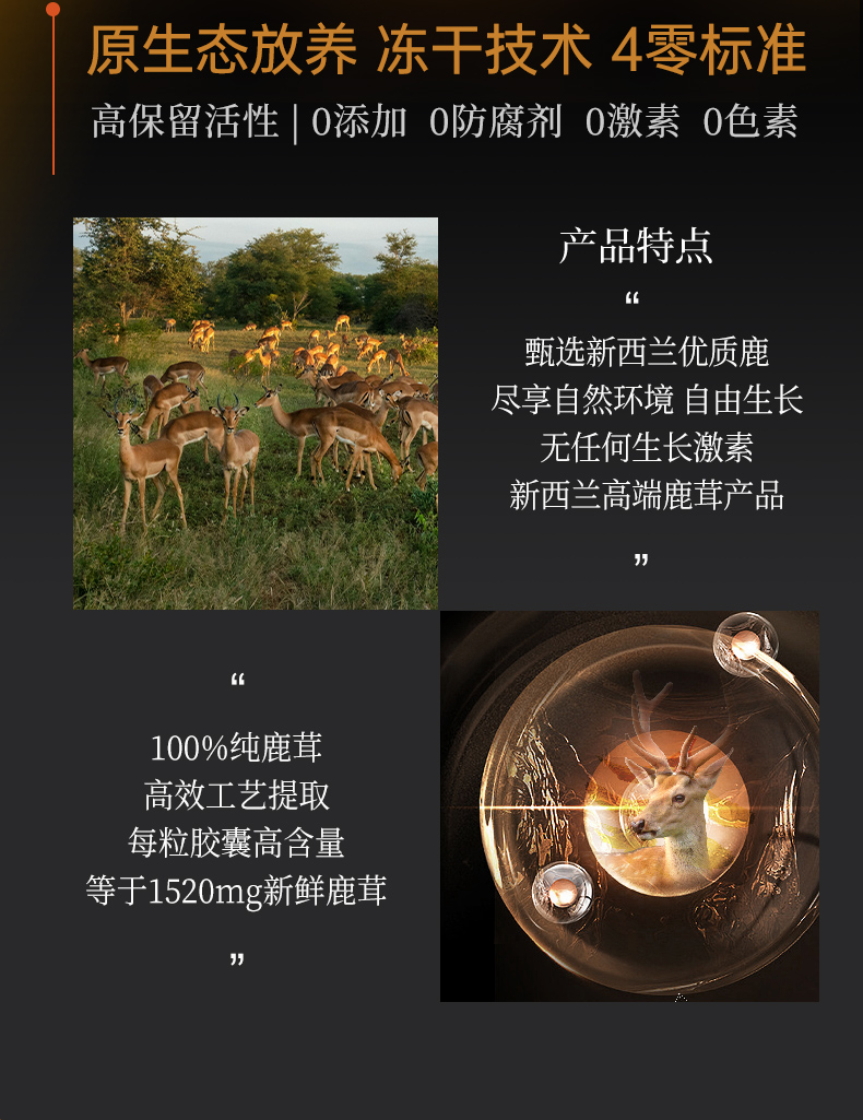 欧兰多-鹿茸_08.jpg