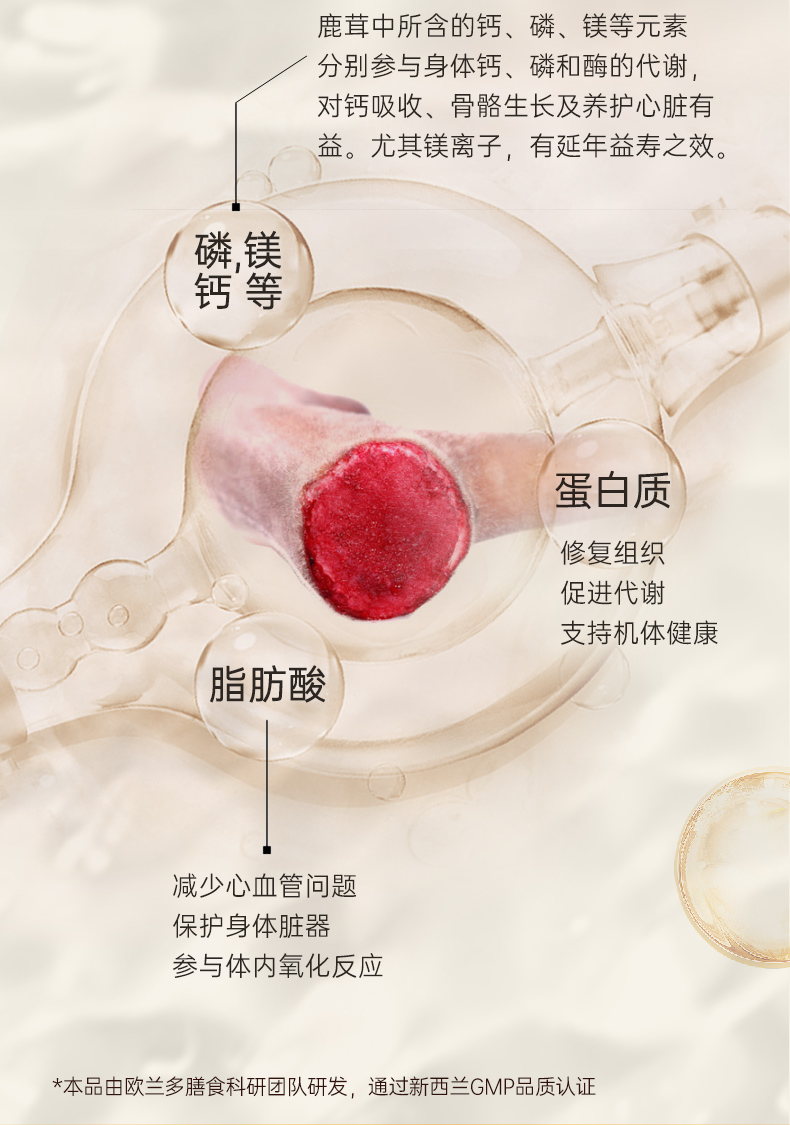 欧兰多-鹿茸_05.jpg