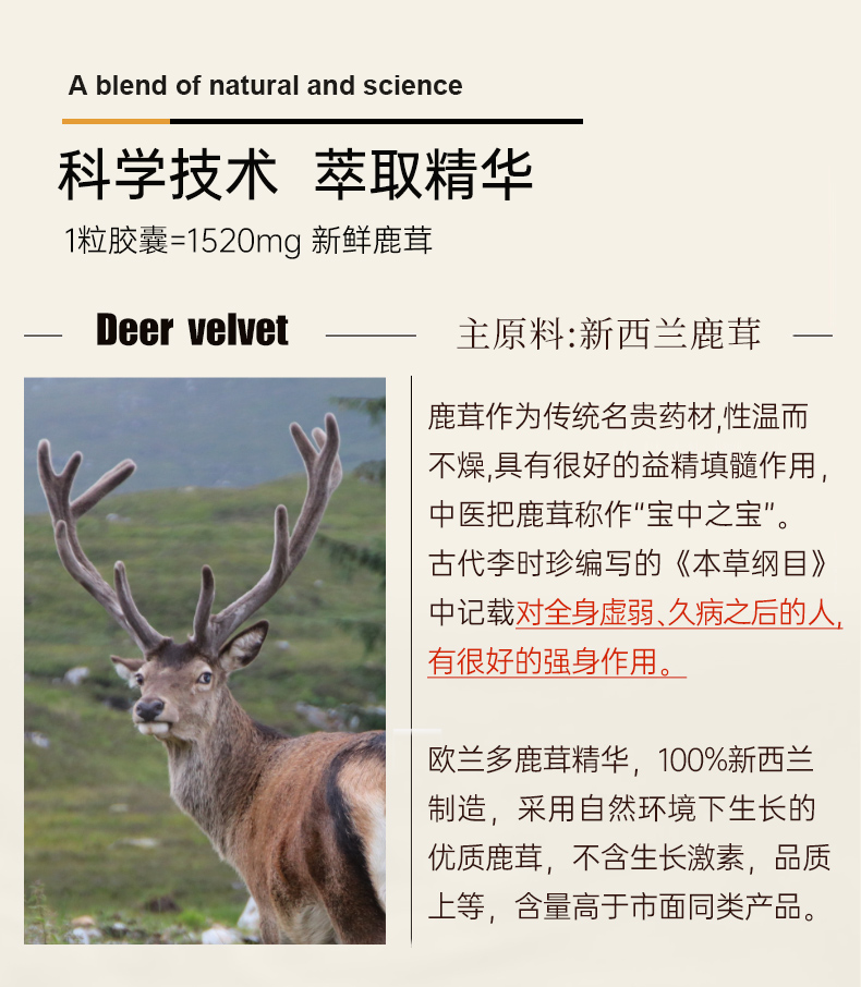 欧兰多-鹿茸_03.jpg