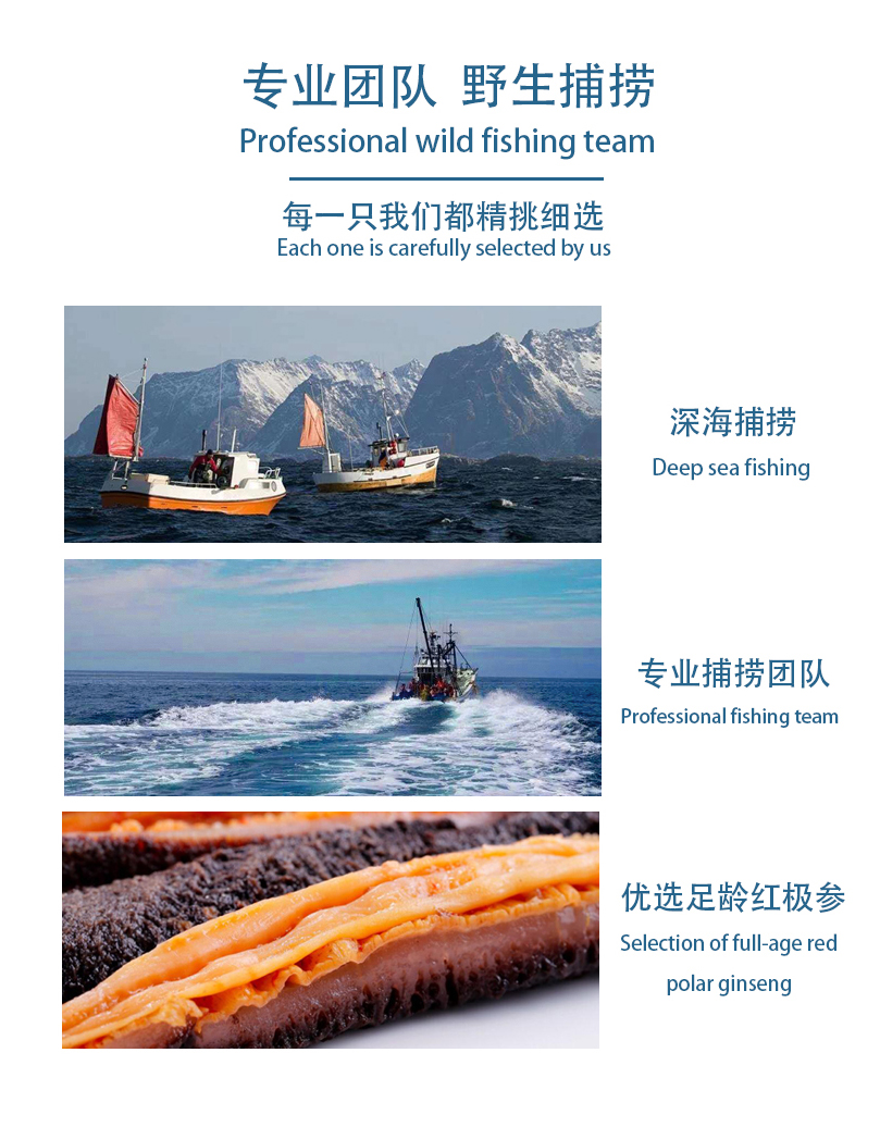 海参产品信息5.jpg