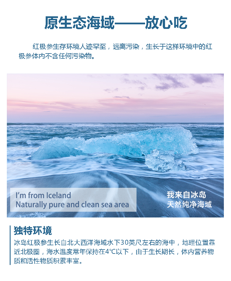 海参产品信息4.jpg