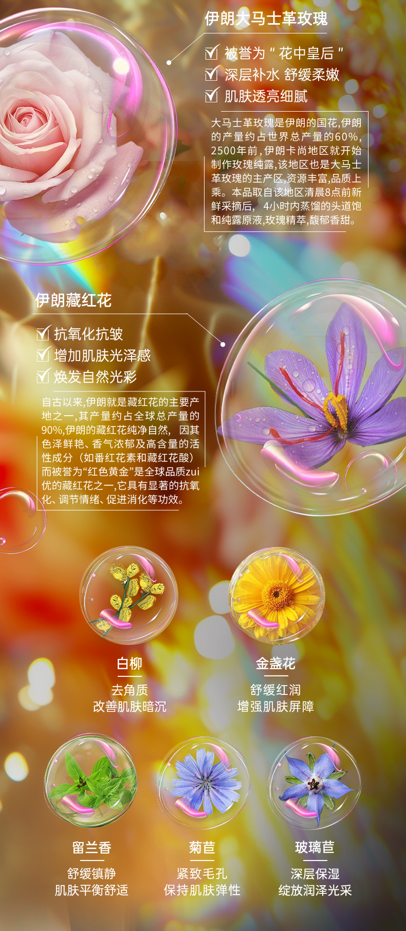 七采纯露_04.jpg