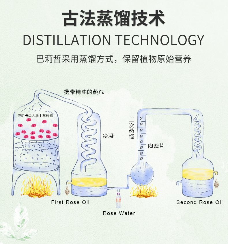 玫瑰精油新版_12.jpg