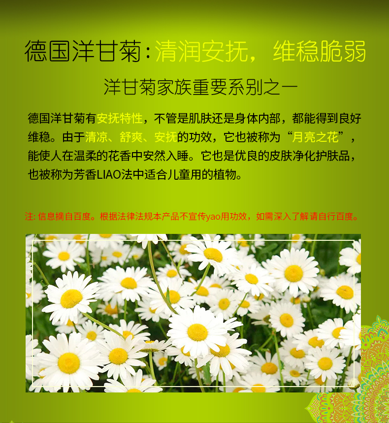 洋甘菊_06.jpg
