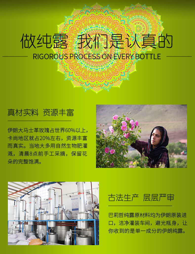 洋甘菊_10.jpg